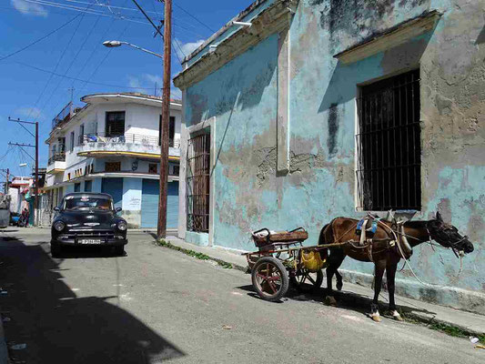 Cheval vapeur - La Havane (Cuba) 2019