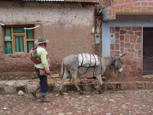 Paysan Bolivien - Torotoro (Bolivie) 2013