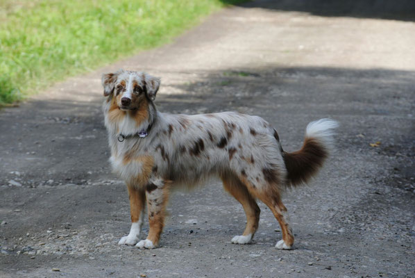 Rhine River's Tortured Tangled Heart "Abby"