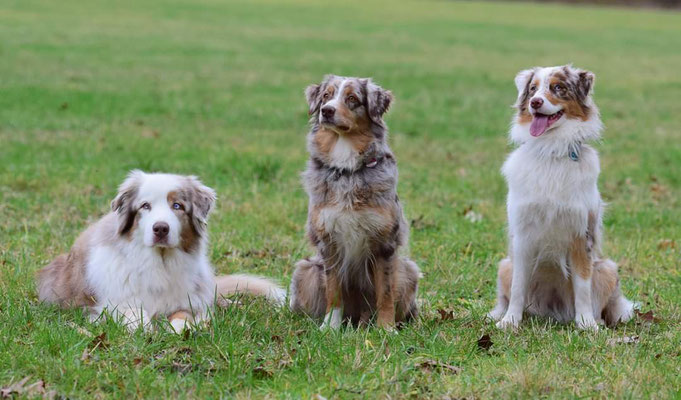 Nando, Abby und Sina