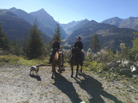 Ginger war so brav und durfte auch schon mit am Pferd laufen