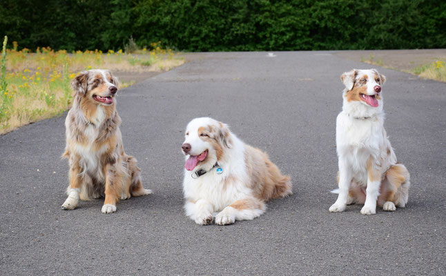 Abby, Nando und Sina