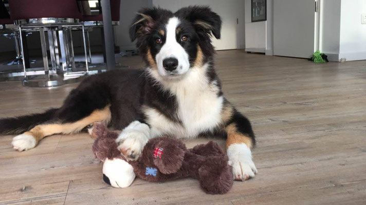 Amy mit ihrem Gewinn vom Hunderennen