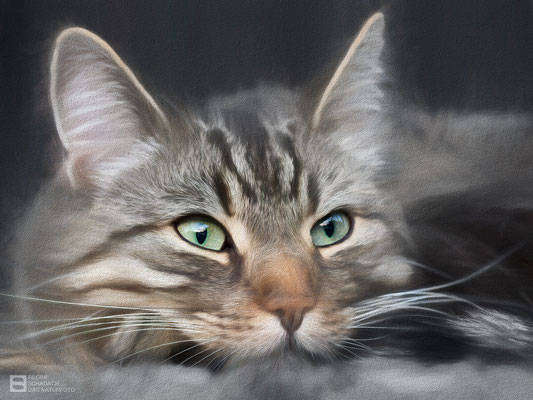 Jetzt einen "Doppelten-Mausburger"!! - Foto: Regine Schadach - Olympus OM-D E-M1 Mark III- M.ZUIKO DIGITAL ED 12‑100 1:4.0 IS PRO