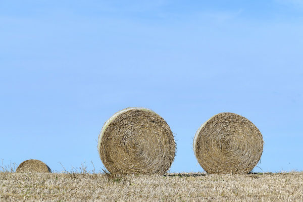 Der aufgerollte Sommer! Bild 012 Foto: Regine Schadach