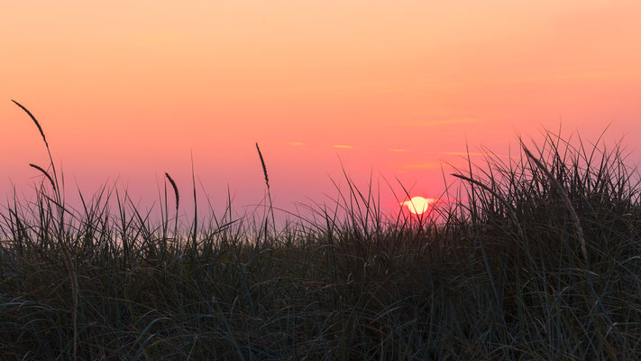 Das ist Jütland - Vrist Strand Bild 001 2023