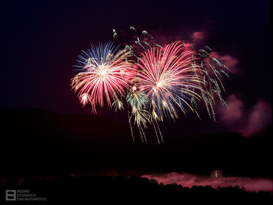  Goslar Juli 2021 - Uns geht es noch gut!? - Foto: Regine Schadach - Olympus OM-D E-M1 Mark I I I - M.ZUIKO DIGITAL ED 40‑150mm 1:2.8 PRO 