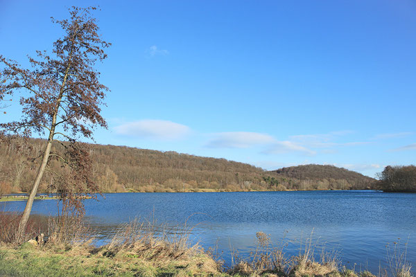 Vienenburger See bei Goslar - Januar 2015 - Bild 006 - Foto: Regine Schadach