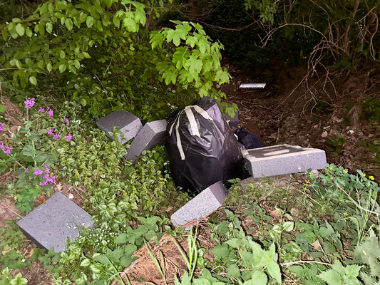 Immer wieder gab es illegale Müllentsorgungen im Bach am Krähenholz