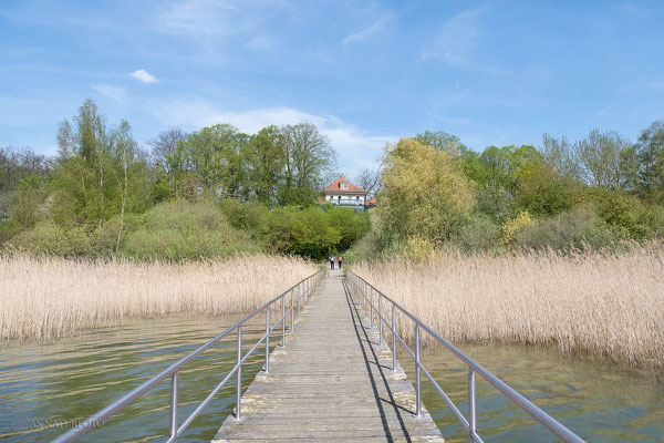 Prenzlau Unteruckersee "Am Kap" - Foto: Regine Schadach - Olympus OM-D E-M1 Mark II - M.ZUIKO DIGITAL ED 12‑100 1:4.0 IS PRO 