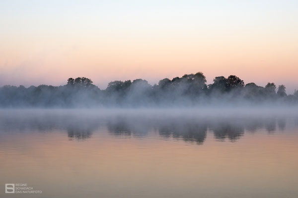 Sonnenaufgang am Salzgittersee Oktober 2021 - Foto: Regine Schadach - Olympus OM-D E-M1 Mark III- M.ZUIKO DIGITAL ED 12‑100 1:4.0 IS PRO