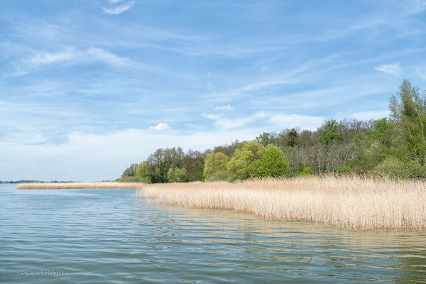 Prenzlau Unteruckersee "Am Kap" - Foto: Regine Schadach - Olympus OM-D E-M1 Mark II - M.ZUIKO DIGITAL ED 12‑100 1:4.0 IS PRO 