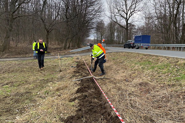 4. Februar 2024 - Die vorbereitenden Arbeiten für den Aufbau des mobilen Zaunes sind fertiggestell. Foto: Schadach