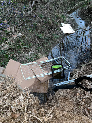 Immer wieder gab es illegale Müllentsorgungen im Bach am Krähenholz