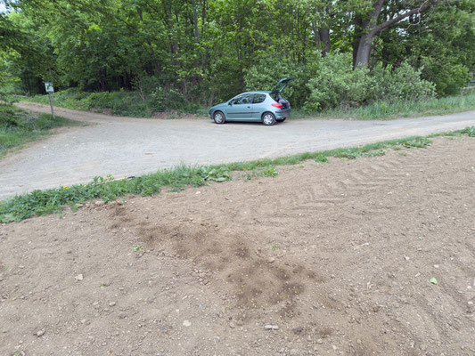 Angelegte Kirrung für Wildschweine an unserem Parkplatz