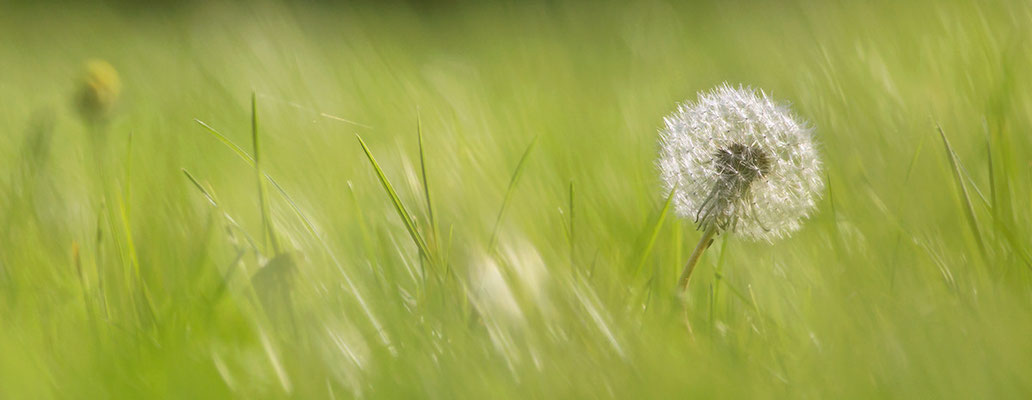 Puste...... - Bild 002 - Foto: Regine Schadach