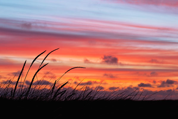 Sonnenuntergang an der Westjütlandküste bei Vrist - Bild 006 - Foto: Regine Schulz