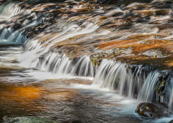 Alles fließt. - Foto: Regine Schadach - Olympus OM-D E-M1 Mark III - M.ZUIKO DIGITAL ED 12‑100 1:4.0 IS PRO