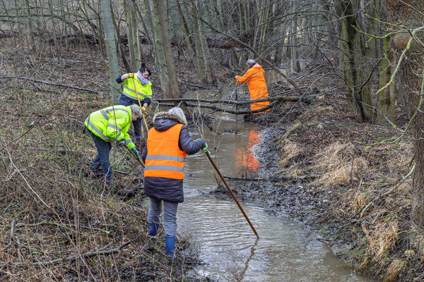 Der Bach wurde auch von Ästen und Müll gesäubert