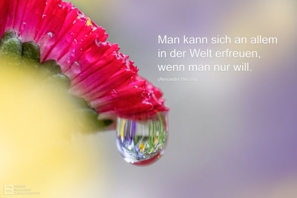 Foto: Regine Schadach