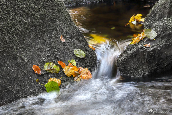 Das Beste an diesem Tag, war das Wasser.  Bild 017 Foto: Regine Schadach