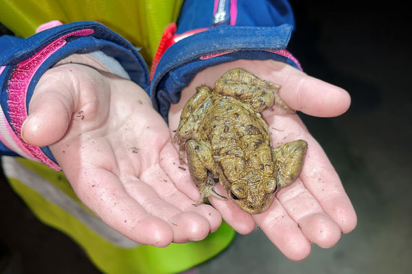 Die Kinder hatten keine Berührungsängste
