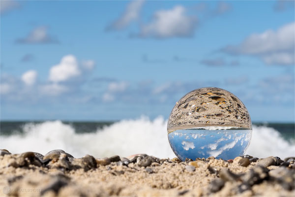 Manchmal steht die Welt auf dem Kopf! - Foto: Regine Schadach - Olympus OM-D E-M5 Mark II - M.ZUIKO DIGITAL ED 60mm 1:2.8 Macro 