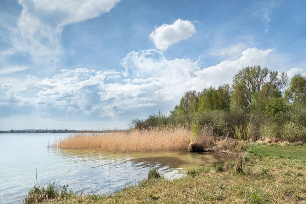 Prenzlau Unteruckersee "Am Kap II" - Foto: Regine Schadach - Olympus OM-D E-M1 Mark II - M.ZUIKO DIGITAL ED 12‑100 1:4.0 IS PRO 