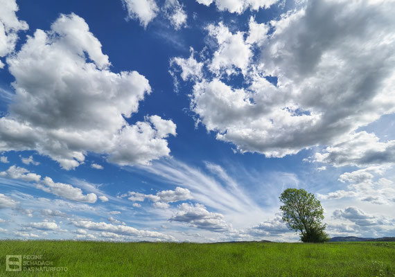 Clouds - richtungsweisend -  Foto: Regine Schadach - Olympus OM-D E-M1 Mark III - M.ZUIKO DIGITAL ED 7-14mm 2.8 PRO