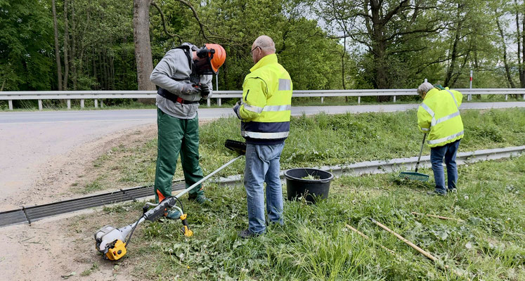 Ein zweiter Arbeitseinsatz im Mai am Krähenholz