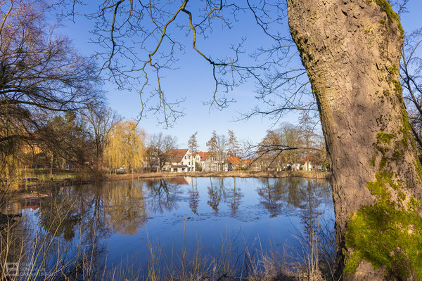 Arbeitseinsatz am Frankenberger Teich in Goslar - ein mobiler Schutzzaun musste errichtet werden