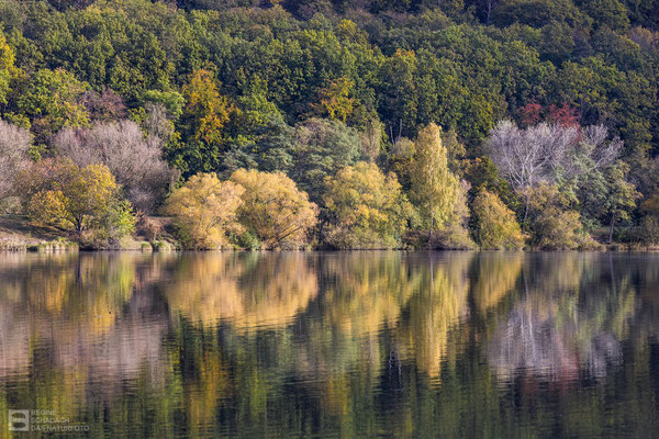 Goslar/Vienenburg See - Und plötzlich ist Herbst - 2023