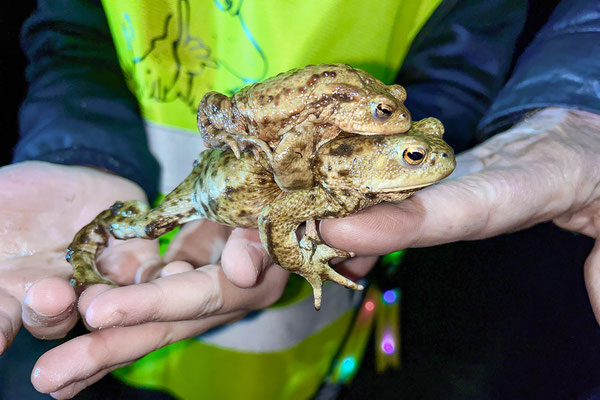 Die Kinder hatten keine Berührungsängste