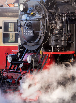 Harzer Schmalspurbahnen - im Bahnhof Wernigerode - Bild 007 - Foto: Regine Schadach