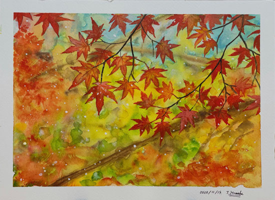 Casie登録作品（2020年11月登録）「紅葉」水彩画
