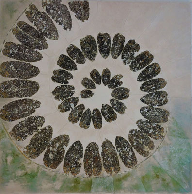 Ammonit - 110 x 110 cm - nicht mehr im Bestand