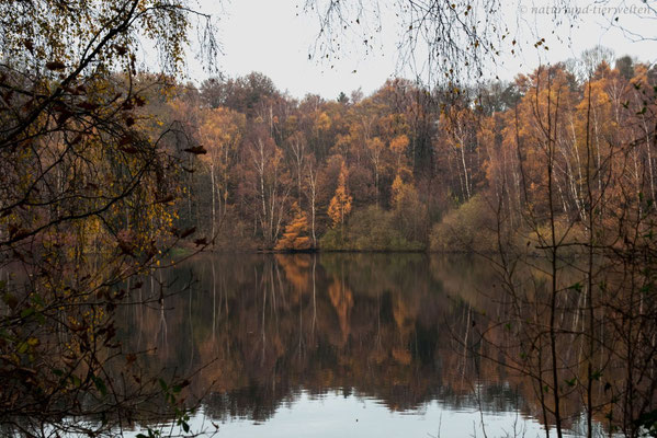 See hinter Bedburg