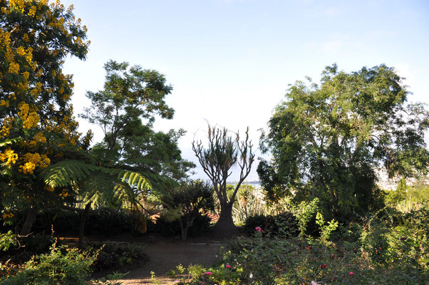 Madeira, Funchal, Botanischer Garten