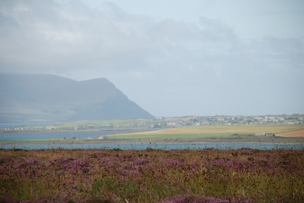 Schottland, Orkney Insel