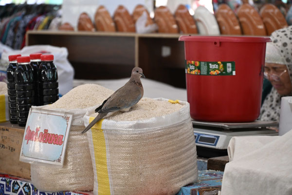 Usbekistan, Sarmakant, Basar