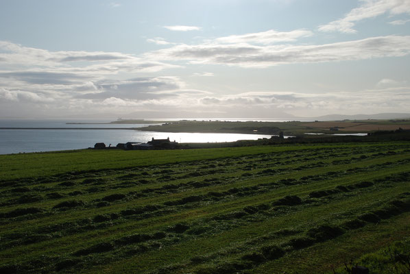 Schottland, Orkney Insel 