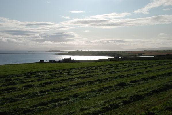 Schottland, Orkney Insel 