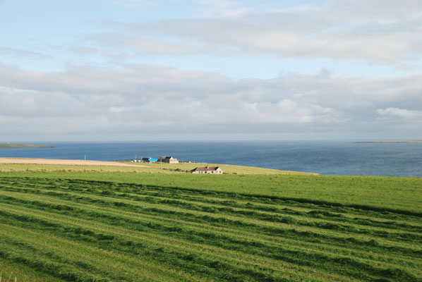 Schottland, Orkney Insel, 