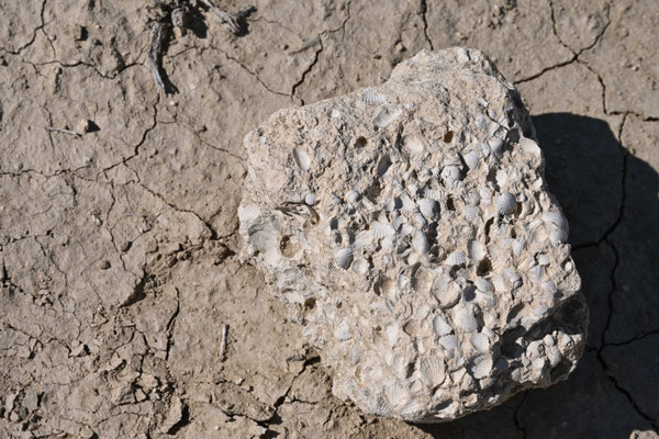 Turkmenistan, Überreste riesiger Korallenriffe aus dem Tetris Meer