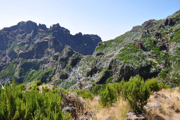 Madeira, Wanderung zum Vereda do Pico Ruivo