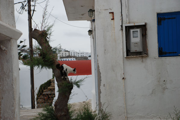 Griechenland: Insel Mykonos, Kirche Paraportiani