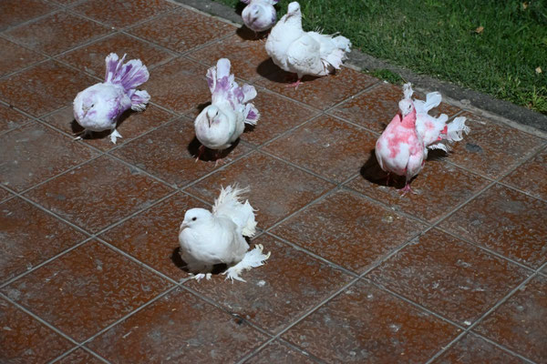 Usbekistan, Sarmakand bei Nacht