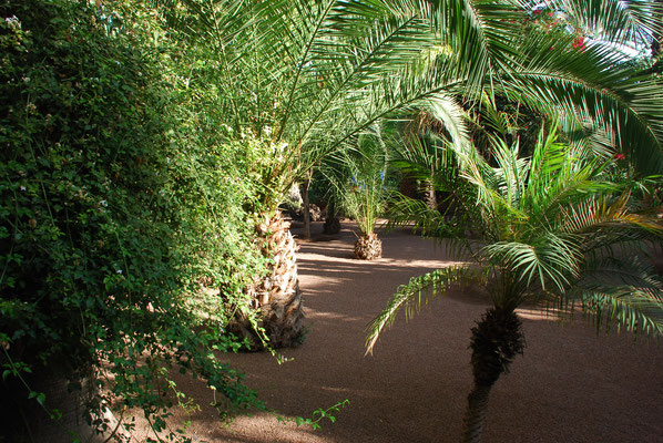 Marokko, Marrakesch, Besuch der Majorelle Gärten