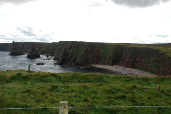 Schottland, John O Groats, Wanderung zum Duncansby Head mit Brutkolonien