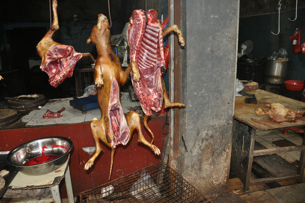 China, Guilin, Markthalle, geschlachteter Hund